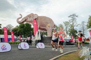 BIB: 
                            <button type="button" onclick="openModal(26528441)" class="btn btn-primary btn-sm float-right btn-popup" data-toggle="modal" data-target=".modal-high-quality">
                        <i class="fas fa-shopping-cart"></i> Add to Cart
                    </button>
                                            <button type="button" onclick="isThisMe(26528441, true)" class="btn btn-success btn-sm float-right btn-popup btn-isme hidden" data-toggle="tooltip" data-placement="bottom" title="นี่คือรูปของคุณใช่ไหม คลิกที่นี่เพื่อเอาเข้าอัลบั้ม">
                        <i class="fas fa-plus"></i> Add to album
                    </button>
                    <button type="button" onclick="isThisMe(26528441, false)" class="btn btn-warning btn-sm float-right btn-popup btn-isnotme hidden">
                        <i class="fas fa-ban"></i> Remove from album
                    </button>